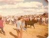 Toros de San Roque aos 1980