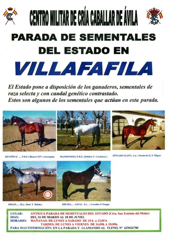 Poster of State Stallions in Villaffila 2008